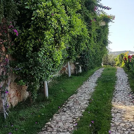 Ilda * Kalkan